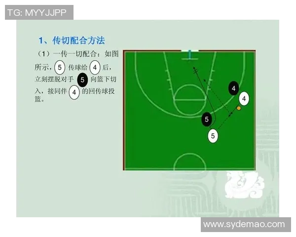 上海篮球队精英赛精彩配合分析与战术解读